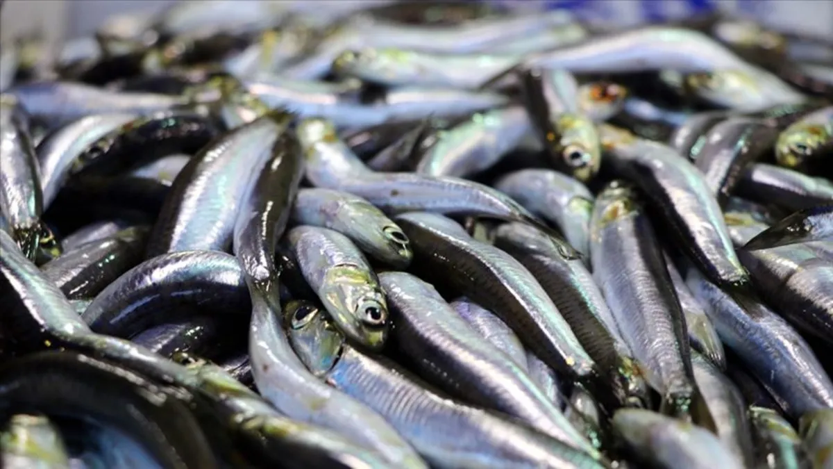 Bağışıklığı güçlendiriyor! Çocuklara haftada 2 kez yedirin