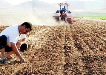 Mazot ve gübre desteği ödemeleri ne zaman?