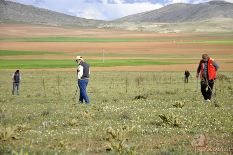 Karaman’da vatandaşlar kilosu 200 lirayı bulan domalan mantarını karış karış arıyor! 9