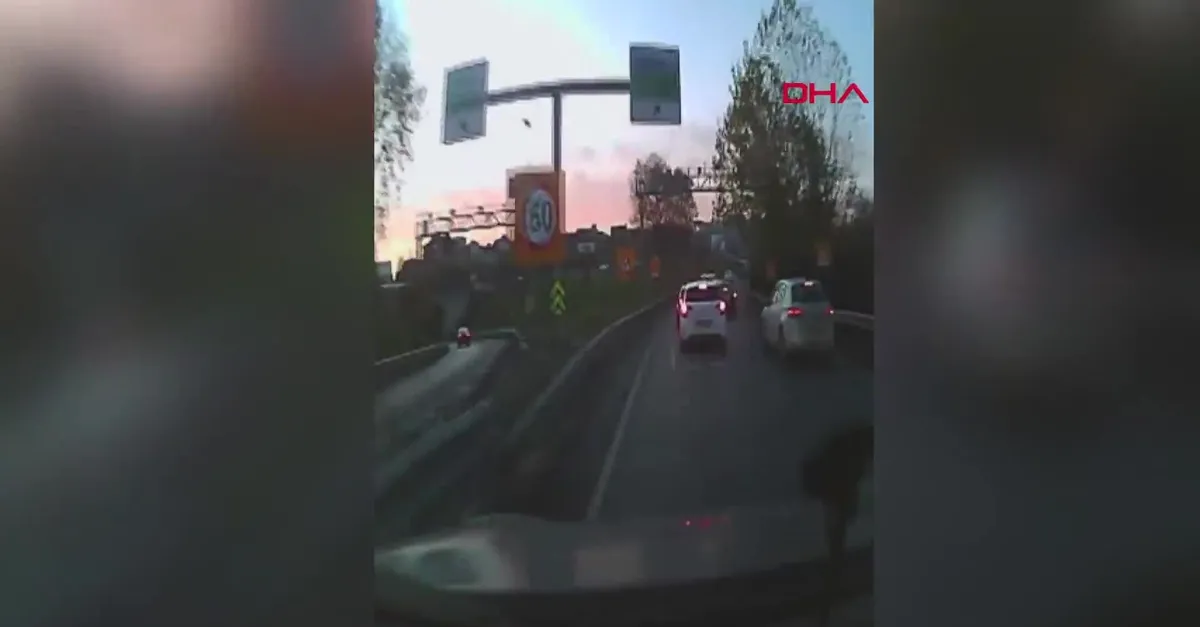 Kadın doktor, otoyolda darp edildi