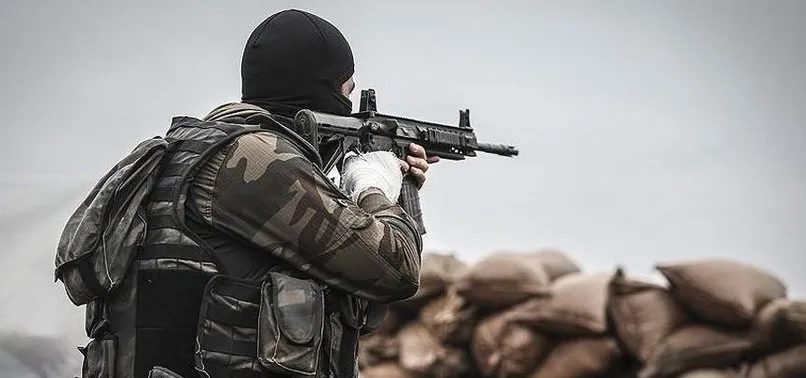 Bingöl'de teröristlere darbe! Mavi ve gri kategorideki iki terörist etkisiz hale getirildi