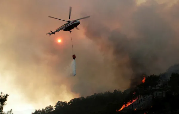 Son dakika: Muğla’da orman yangını çıkardığı iddia edilen şahıs tutuklandı