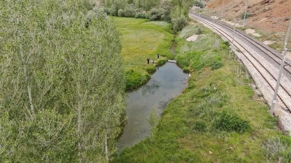 Başkan Erdoğan balıklı göl için imzayı attı! Sivas’ın doktor balıkları sağlık turizmi sağlayacak