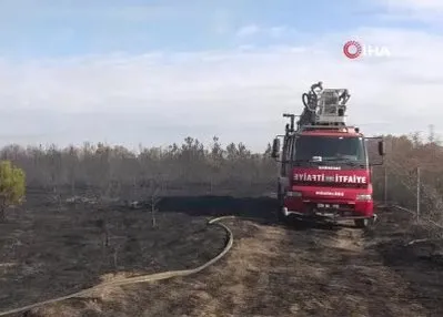 Kırklareli’nde orman yangını