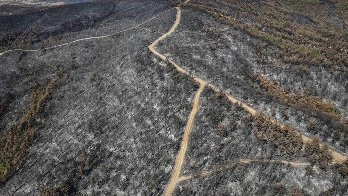 Çanakkale'de 118 orman yangının acı bilançosu! 7 bin 39 hektar alan küle döndü