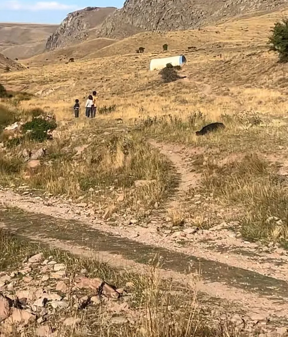 Sivas'ta kayıp 11 aylık Büşra için şoke eden iddia! Annesi anlattı: Babası para karşılığı sattı mı? - 4