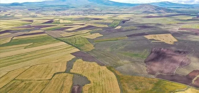 Arsa ve tarlaya talep patladı satış rakamları rekor kırdı! Uzmanlardan 10 öneri! Bakmadan sakın almayın