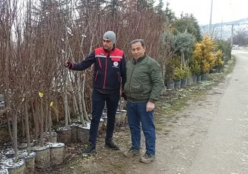 Fidan satış noktalarında denetim