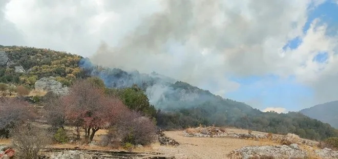 Antalya’da makilik alanda yangın! Soğutma çalışmaları sürüyor
