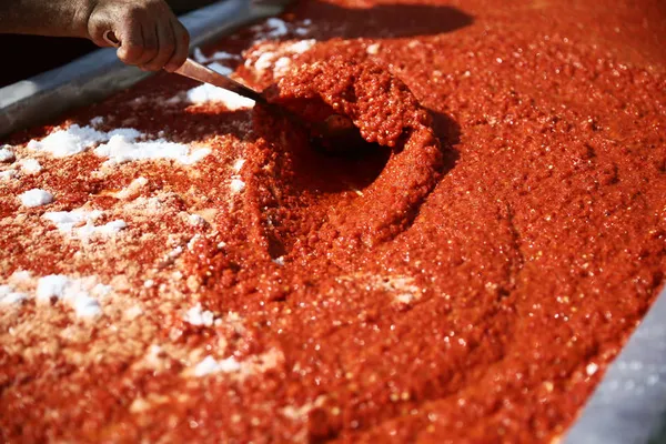 Salçadaki küflenmeyi ortadan kaldıran mucizevi yöntem! 3 damlası bile yetiyor! Bunu yaparsanız haftalarca saklayabilirsiniz!