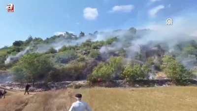 Ormanlık alanda çıkan yangın söndürüldü