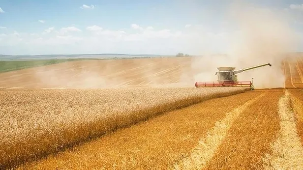 Buzağı destek ödemeleri ne zaman yatacak 2023? Nisan - Mayıs buzağı destekleri yattı mı, ödendi mi? İL İL ödeme listesi...