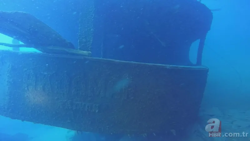 Van Gölü'nde yeni sırlar ortaya çıkıyor! 62 yıl sonra ilk kez görüntülendi 15