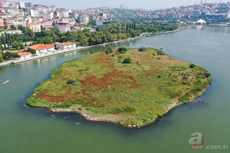 CHP'li İBB'nin Haliç yalanı! Kirlilik yine gün yüzüne çıktı 14