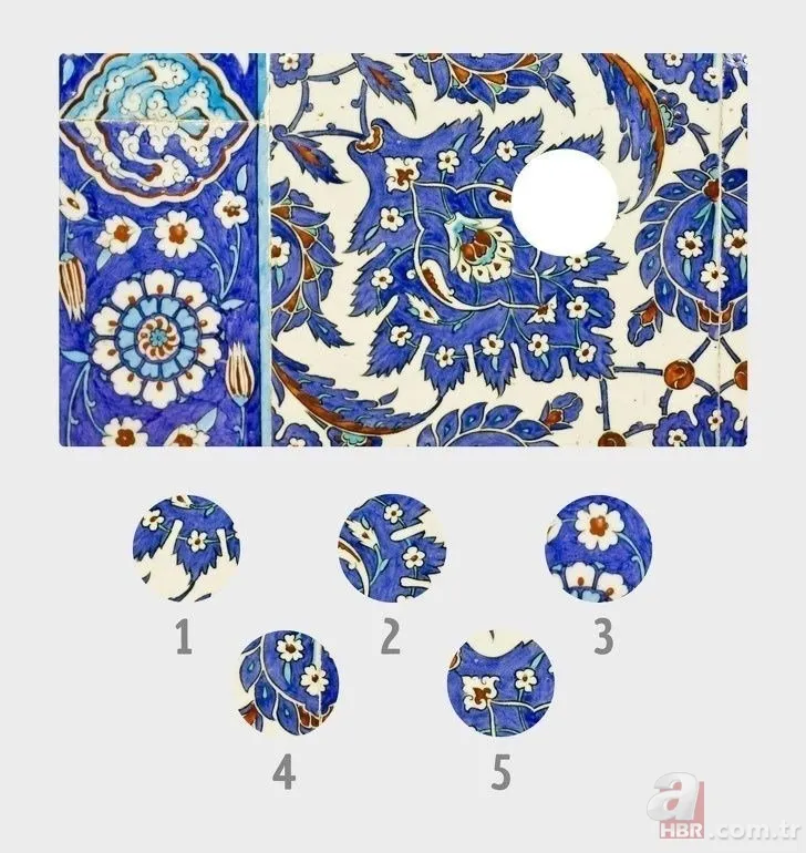 Bu zeka testi sosyal medyayı sallıyor! Detayları fark etmekte ne kadar dikkatlisiniz? 17