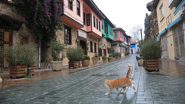 SON DAKİKA: İçişleri Bakanlığından "29 Nisan-17 Mayıs tam kapanma" genelgesi | Gündem haberleri - 11