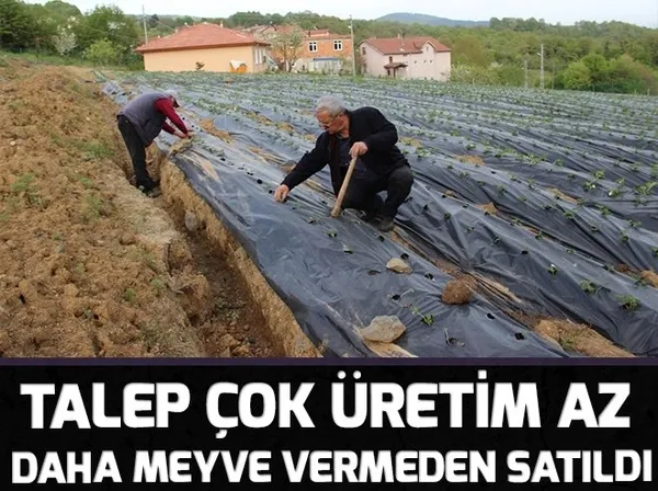 Yabancı plakalı araçlar için ücretsiz geçiş kaldırıldı - 1