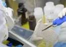 Koronanın üretildiği iddia edilen laboratuvarda skandal!