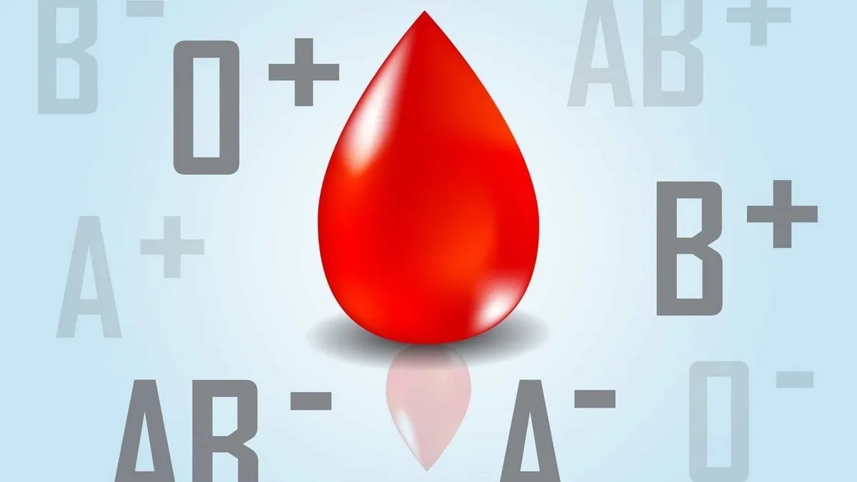 Hangi kan grubu hangi besini tüketmeli? Kan grubu 0, A, B , AB olanlar bu besinleri tüketin