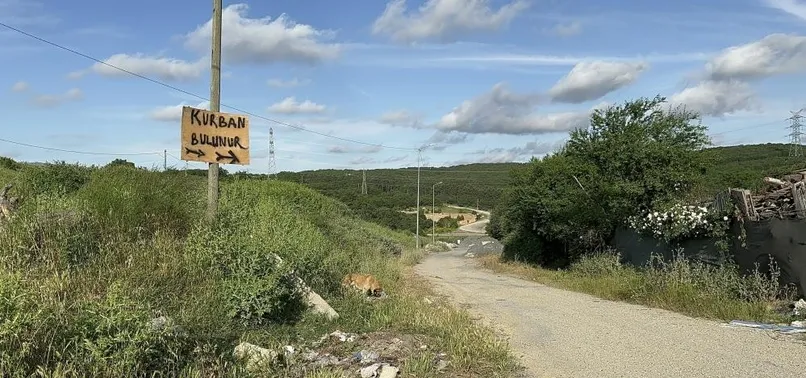 İsyan ettiler! Kurban Bayramı öncesi "kimyasal döküm" engeli