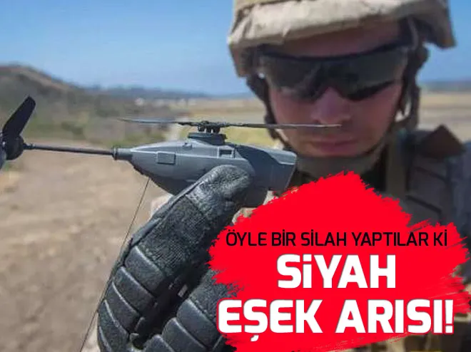 ABD ordusu için geliÅtirildi: Siyah eÅek arısı