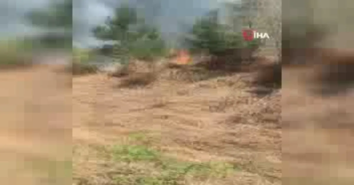 Aydos'ta korkutan yangın!