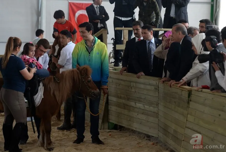 Katar emirinden Cumhurbaşkanı'na sürpriz: 53 tane Arap atı gönderdi 6