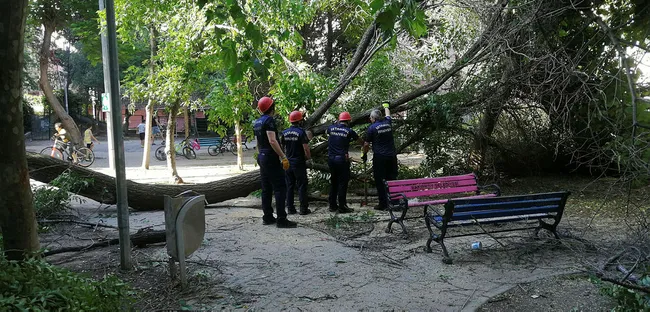 İstanbul’da çocuk parkında ağaç devrildi! Altında oturanlar kaçarak kurtuldu - 2
