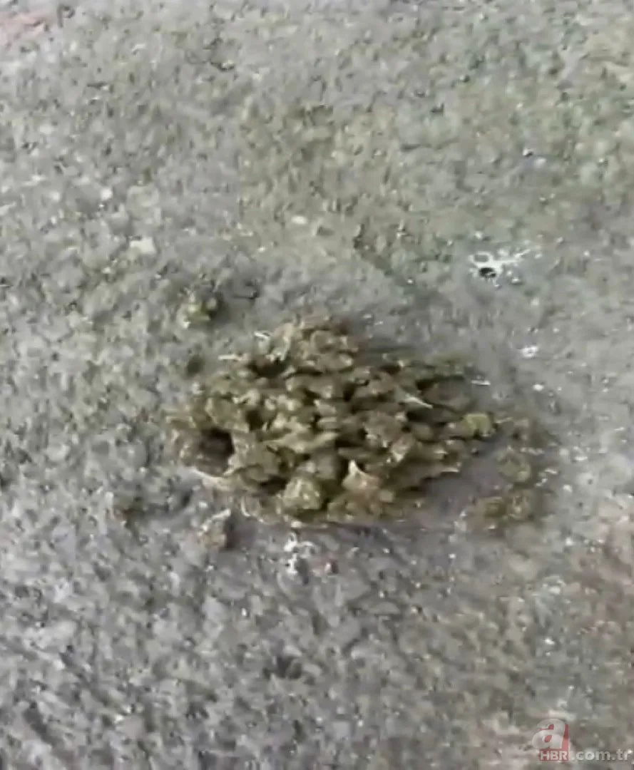 Uyuşturucu satıcılarının zula evine baskın: Biri 18 yaşından küçük 5 şüpheli gözaltında 5