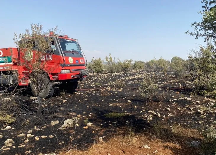 Kahramanmaraş'taki orman yangınının nedeni ortaya çıktı! Torpil şakası 80 hektarı küle döndürdü