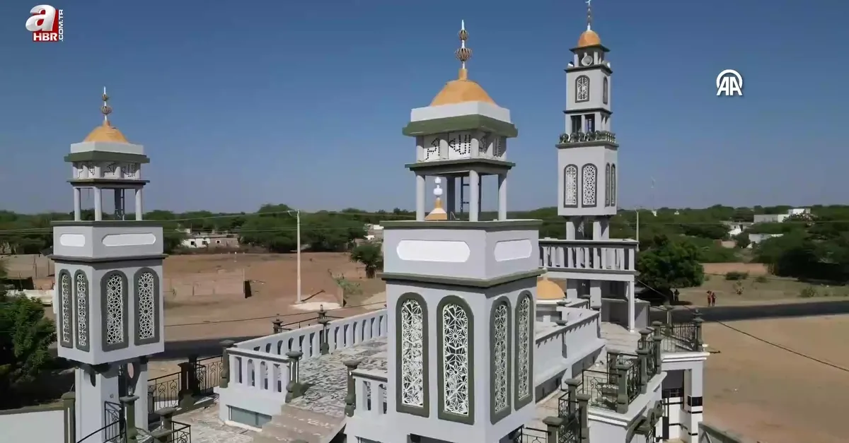 Senegal'in renkli camileri göz dolduruyor