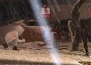 İstanbulda kar yağışı gören çocuklar kendilerini sokağa attı