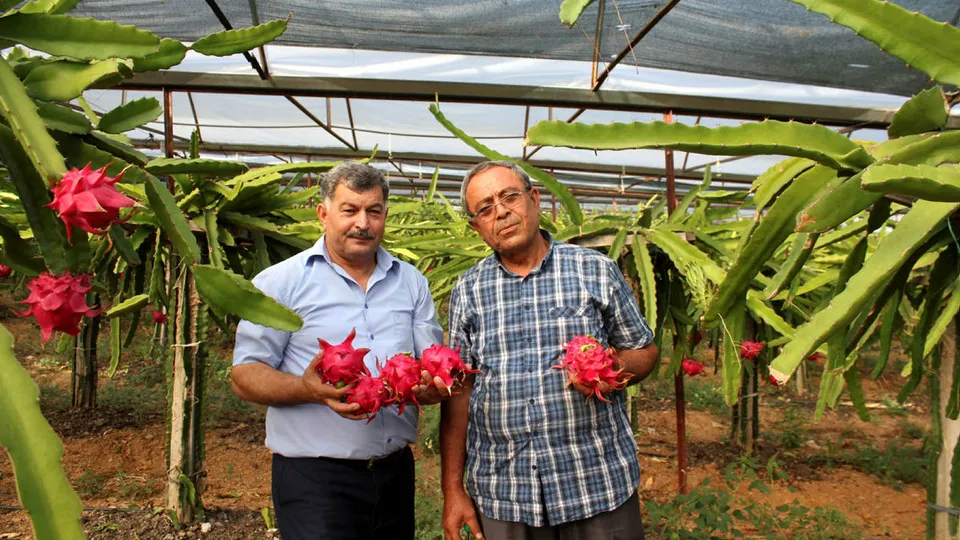 3 yıl önce ekti bir servet kazandı