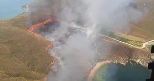 Avşa Ada’sında otluk arazide korkutan yangın