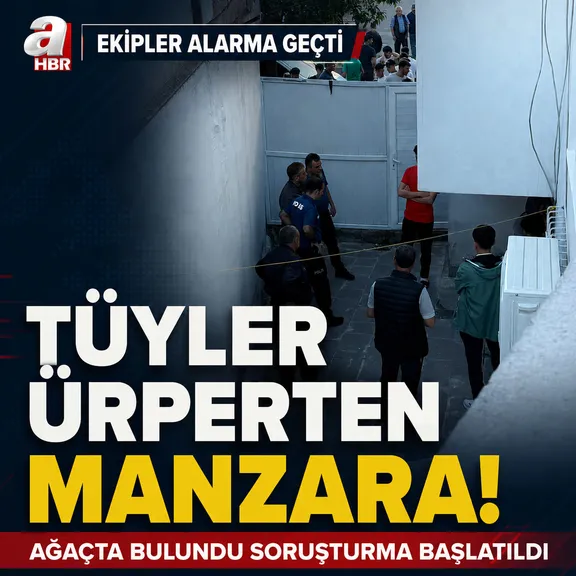 Tüyler ürperten manzara! Ağaçta bulundu