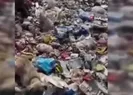 Yavru köpekler iple bağlanıp çöplüğe atıldı