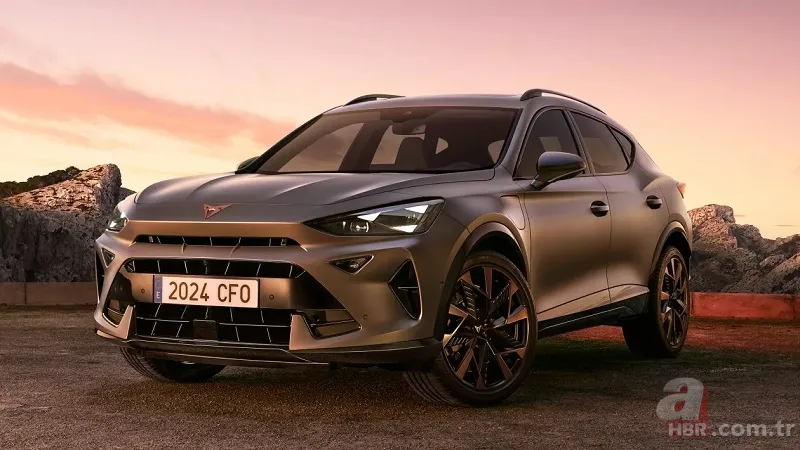 Uygun fiyat zirveye taşıdı! 2024 yılında en çok araç satan marka belli oldu! Yeni markalar listeyi alt üst ediyor 25