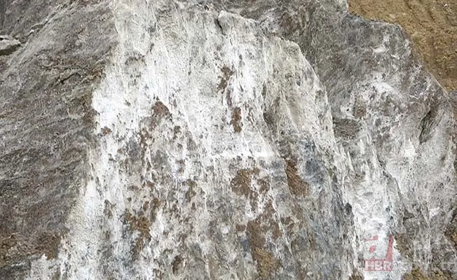 Bulunduğunuz odaya bir tane koyun! Öksürük, nefes darlığı sorununu anında çözün 6