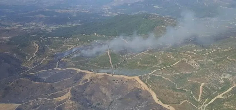 Seferihisar'da askeri tatbikat sahası içindeki otluk alanda yangın