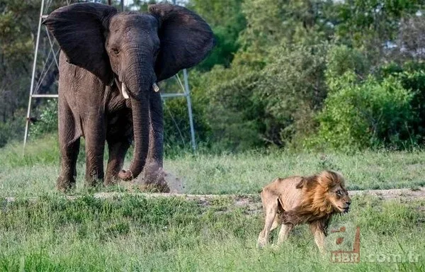 Bilim insanları geliştirdi! Artık uzaydan sayılabilecekler