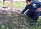 Havalar ısındı gelengiler ortaya çıktı
