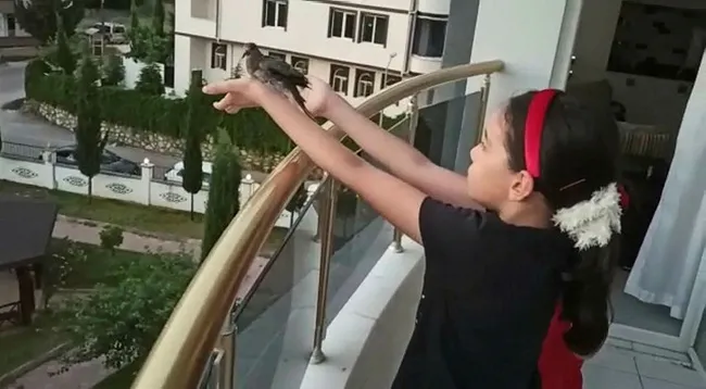 Adıyaman’da küçük kardeşler yaralı yavru kuşu besleyip doğaya bıraktı - 1