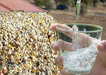 Kabak çekirdeğinin bilinmeyen faydası! 1 avuç yedikten sonra 1 bardak...
