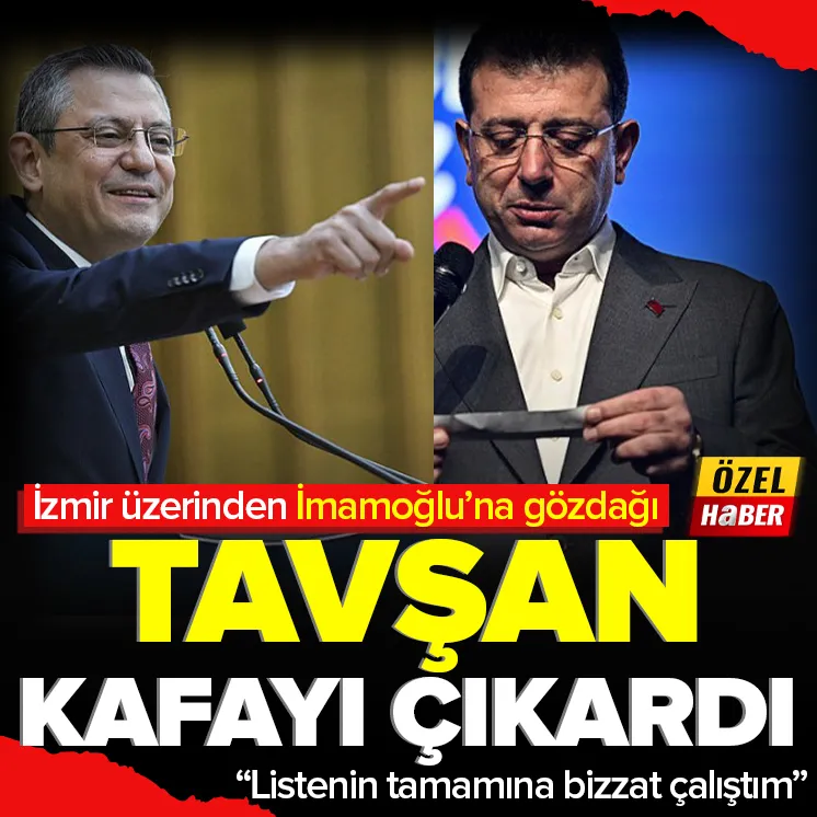 Tavşan kafayı çıkardı!
