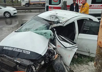 Adapazarı'nda ağaca çarpan araçta 2 yaralı