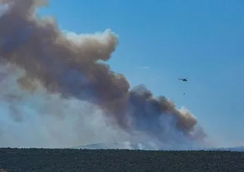İzmir'de orman yangını! Alevler kontrol altında