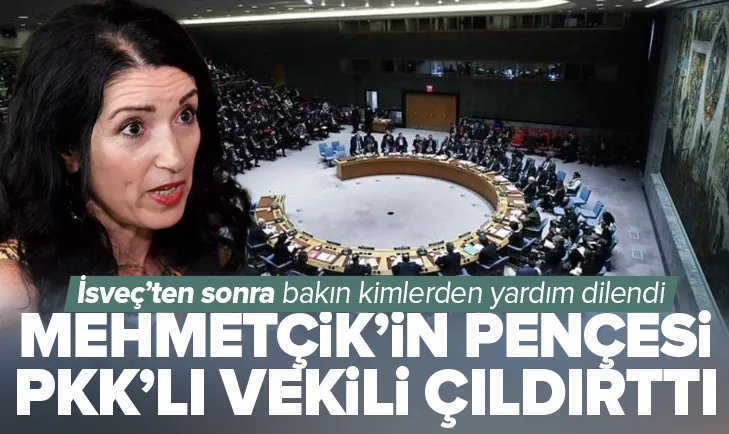 PKK’lı vekil İsveç’ten sonra onlara gitti