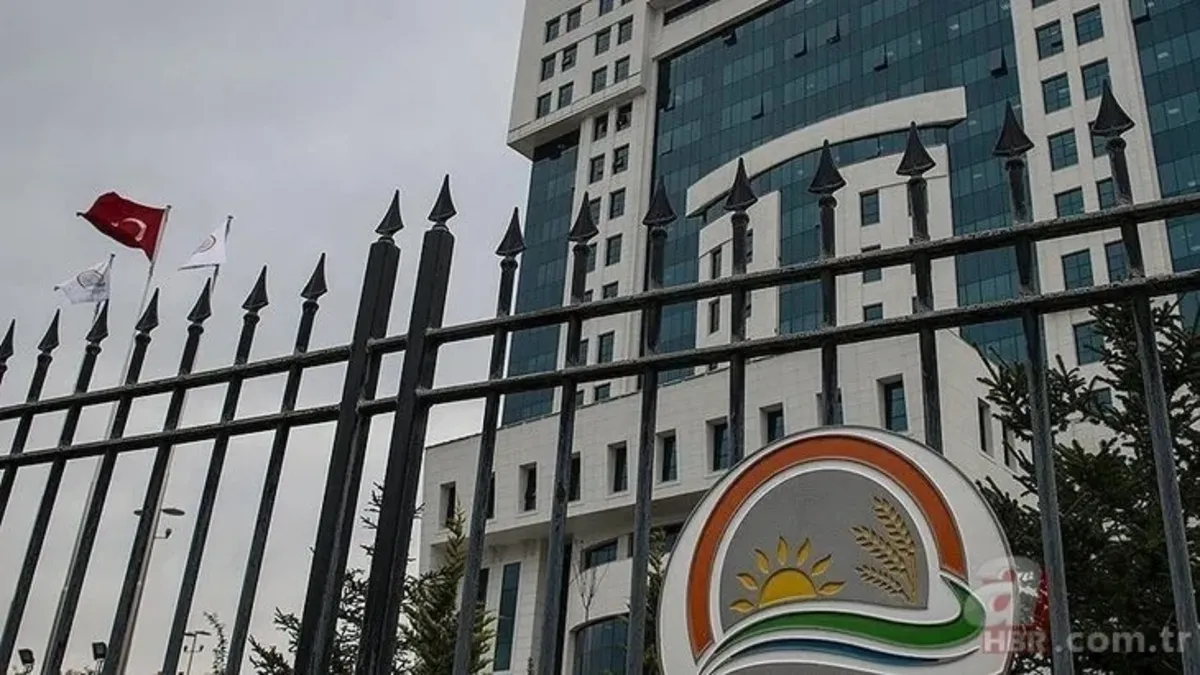 Bakanlık yeni hileli ürünleri duyurdu! Peynirin raf ömrünü uzatmak için antibiyotik