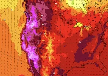 Son dakika: Kanada’da termometreler 49,5 dereceyi gösterdi! Aşırı sıcaklıklar 233 kişiyi öldürdü