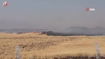 Anız yangını fabrikaları tehdit etti